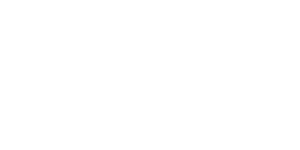 Access Partnership Logo