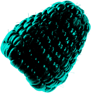 IAG Loyalty - Image 2