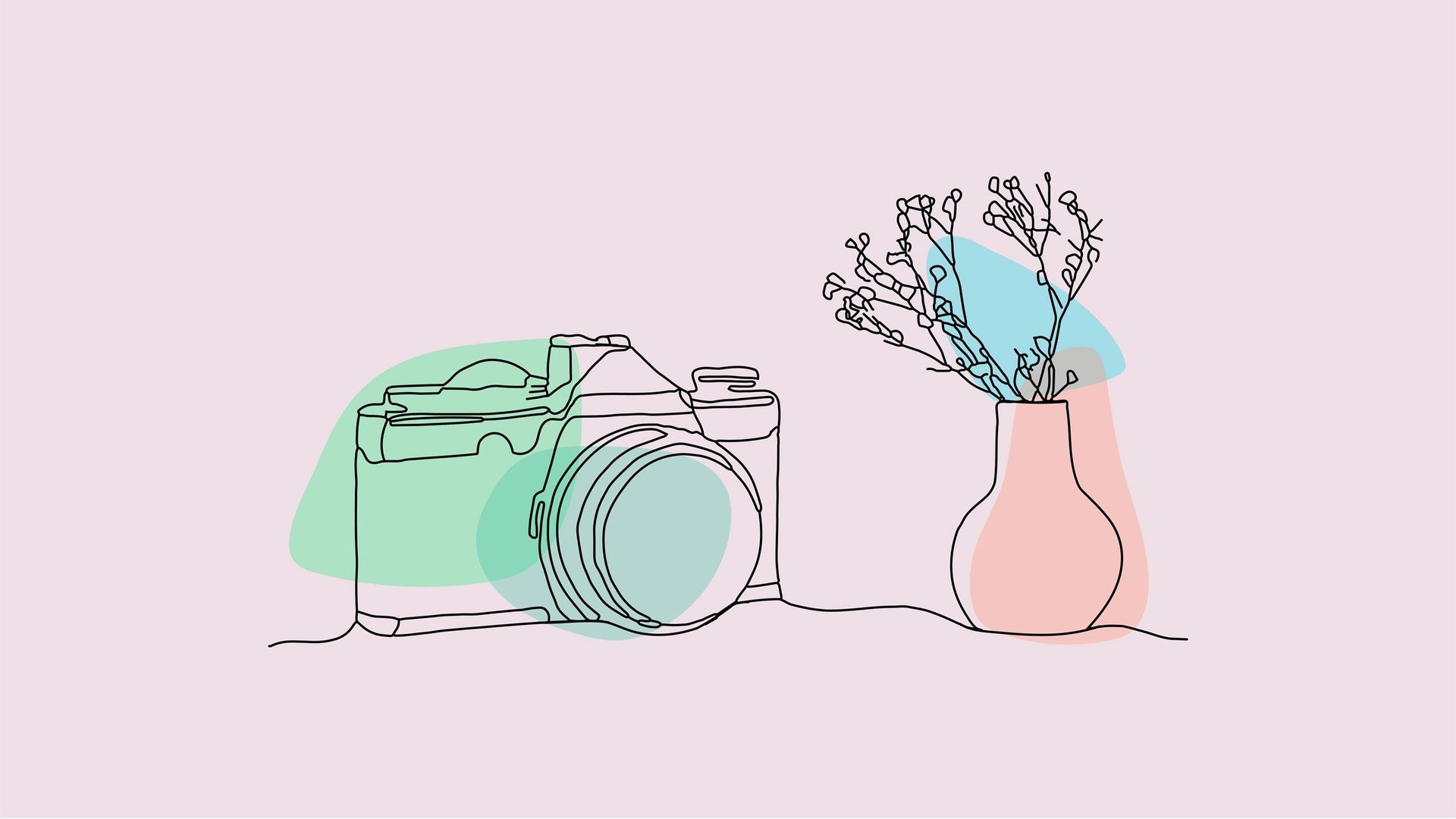 camera and plant line drawing