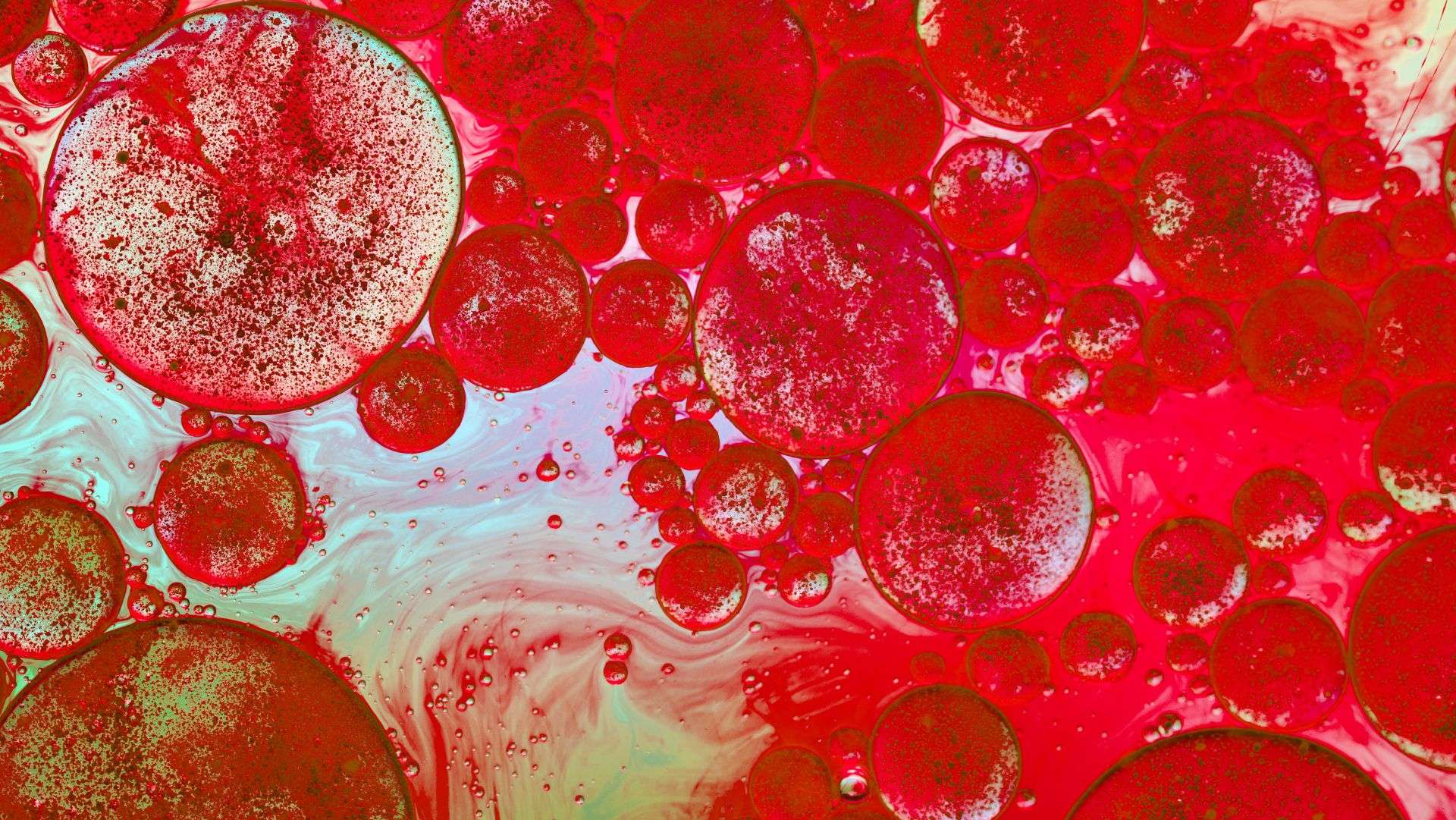 Kings College - graphic colourful