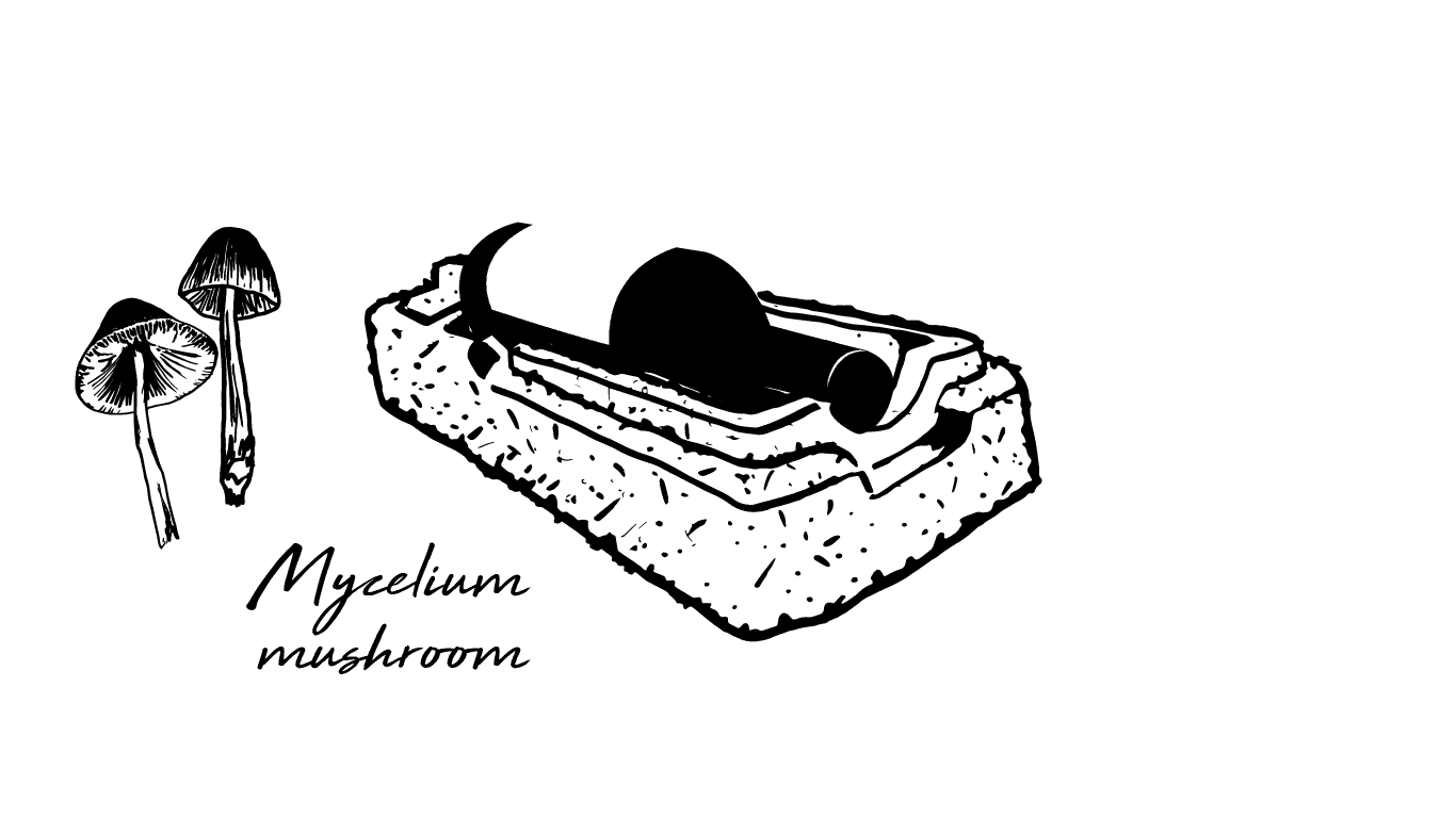 Mycelium Mushroom Sustainable Packaging