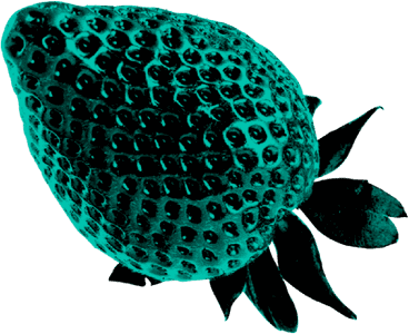 IAG Loyalty - Image extra 2